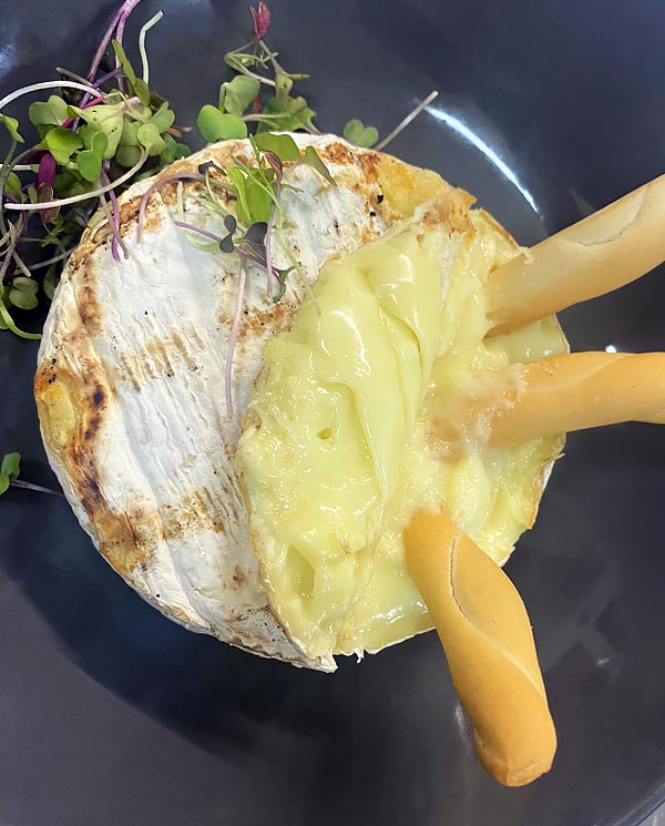 QUESO DE CABRA GRATINADO